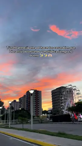 ❤️‍🩹🍃 #amen #dios 