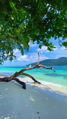 Hello Thailand 🇹🇭 #kohrawi #kohlipetrip #seeyou1_Oct. #เกาะราวี #ทริปเกาะหลีเป๊ะ 🏝️🌊🌤️ 