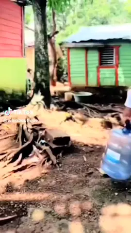 DARIPADA KETIBAN GALON MENDING KETIBAN PROMO JUMBO SALE MATAHARI CITIMALL BINTANG🥰🥳#promomerdekasale #fyp #mataharicitimallbontang #fyppppppppppppppppppppppp 