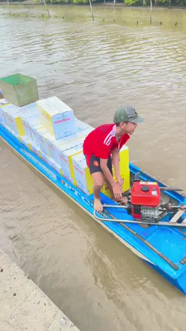 qá dử