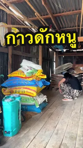 กาวดักหนู ติดทนไม่ไหลเยิ้มปลอดสาร #กาวดักหนู #หนู #ไล่นก #กำจัดหนู #ของใช้ในบ้าน 