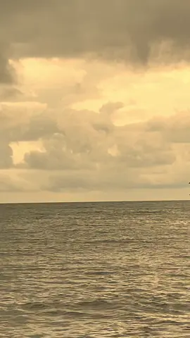 dilarang buka komentar, isinya orang