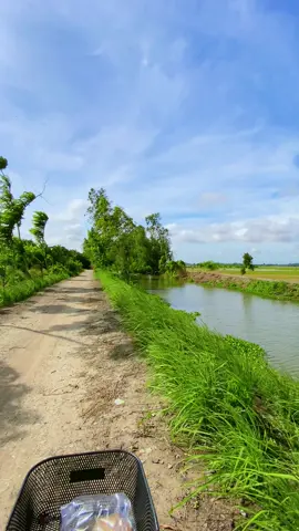 Binh yen k ở đâu xa ! Gió lạnh chứ k còn mát nua 🥰🥰🥰#nhachaymoingay #nhacnayhay #fyp #viralvideo #xuhuong #canhchillvungque🌾 #canhdepmientay #canhchill #67angiang 