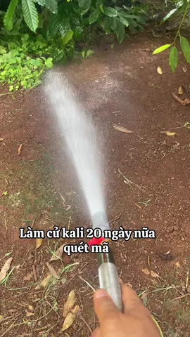 Pha nước tưới luôn #krongbuk_đăk_lăk #47daklak #sauriengdaklak #sauriengvietnam #xuhuongtiktok 