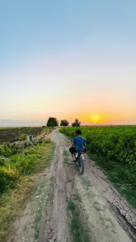 بێستانسوری دڵگیر❤️#وەتەن #کوردستان #سلێمانی #foryou #for #foryoupag #شارەزور #عێڕاق 