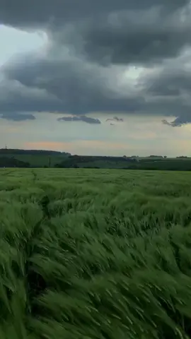 What kind of experience would make people like this feeling ..？#WindandFreedom #HealingScenery 