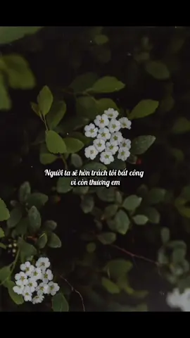 𝐒𝐚̀𝐢 𝐆𝐨̀𝐧 𝐥𝐚̣𝐜 𝐧𝐡𝐚𝐮 𝐥𝐚̀ 𝐦𝐚̂́𝐭 … “Từng có người hỏi tôi, thứ đã mất đi rồi mà quay lại thì còn cần nữa không? Tôi nói, tôi từng làm mất một cái cúc áo, đợi đến khi tôi tìm thấy được nó thì sớm đã mua cái áo khác rồi.  Giữa người với người, không có ai không thể rời xa ai, chỉ có ai không trân trọng ai. Cho dù là cố hữu hay hồng nhan, chỉ cần một cái quay người đã thành hai thế giới. Trong cả cuộc đời, có một người yêu bạn, thương bạn, bao dung bạn, đây chính là hạnh phúc.  Đời người đều là hồi ức, vừa bước tiếp vừa trân trọng!” ( Tân Li dịch ) #nhactamtrang #canhdepthiennhien #trietlycuocsong #tinhyeu #xuhuong  @🍃 Hương Mùa Hè 🍃  @🍃 Hương Mùa Hè 🍃  @🍃 Hương Mùa Hè 🍃 