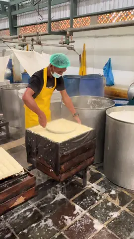 🇮🇩 📹 Behind the Scenes Tahu Azaki! Dari 🌱 kedelai pilihan, direbus ♨️, digiling, disaring, hingga dicetak 📦… Proses yang terlihat sederhana, tapi penuh cinta ❤️ dan tanggung jawab 🤝. 🏴󠁧󠁢󠁥󠁮󠁧󠁿 📹 Behind the Scenes of Tahu Azaki! From 🌱 selected soybeans, boiled ♨️, ground, filtered, to molded 📦… A process that looks simple, yet filled with ❤️ love and 🤝 dedication. Tempe-Tahu Azaki “when healthy meets tasty” #azaki #tempe #tempeh #tahu #tofu                       