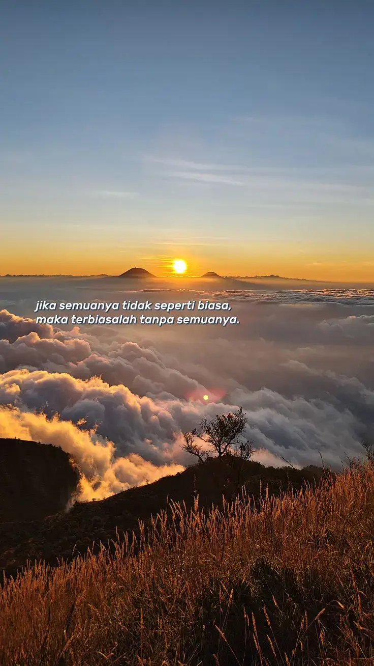 Teh manis! Minuman yang lezat dan menyegarkan. Berikut adalah cara membuat teh manis: Bahan-bahan 1. *Teh*: 1 sendok teh bubuk teh atau 1 kantong teh 2. *Gula*: 1-2 sendok gula pasir (sesuai selera) 3. *Air*: 200-250 ml air Cara membuat 1. *Didihkan air*: Didihkan air dalam panci atau ketel. 2. *Buat teh*: Masukkan bubuk teh atau kantong teh ke dalam air mendidih dan biarkan selama beberapa menit hingga warna teh berubah. 3. *Tambahkan gula*: Tambahkan gula pasir ke dalam teh dan aduk hingga gula larut. 4. *Sajikan*: Sajikan teh manis dalam gelas dan nikmati. Tips membuat teh manis 1. *Pilih jenis teh yang tepat*: Pilih jenis teh yang sesuai dengan selera Anda, seperti teh hitam, teh hijau, atau teh herbal. 2. *Sesuaikan jumlah gula*: Sesuaikan jumlah gula dengan selera Anda, bisa lebih atau kurang tergantung pada kebutuhan. 3. *Tambahkan perasa lain*: Tambahkan perasa lain seperti lemon atau jahe untuk memberikan rasa yang lebih unik. Teh manis siap disajikan! 😊 #fyp #foryoupage #sadvibes 