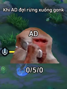 Đợi suốt trận #lienquanmobile #aov #Meme #j4f #tanpeii 