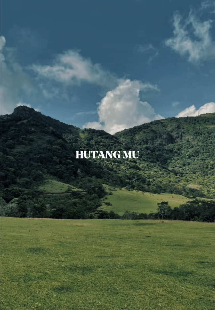 Tolong cepat kau lunaskan hutangmu #CapCut #fyp #trend #liriklagu #foryou #soundviral 