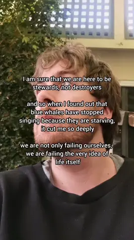 It's just not good enough 