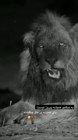 روحت شاد#وحید_مرادی 🖤🦅