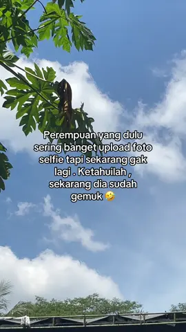 Duh sayangggg 🤭🤣#fyppppppppppppppppppppppp 