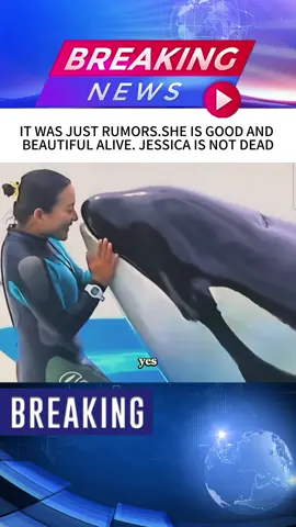 It was just rumors. She is good and beautiful alive. Jessica is not dead#news #fyp #breakingnews #foryou#us #Rumors #alive #whale 