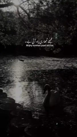 مجھے تمھاری یاد آتی ہے ۔❤️‍🩹                                                         ..               .              #foryoupage 