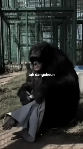 dangukeun 🫵🏻🤪 #capruk #storysunda #atuheuy 