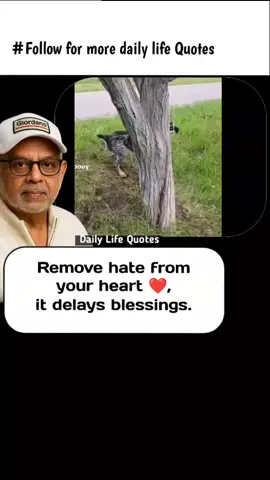 Remove hate from your heart ❤️#FYP #motivationforhardtimes #motivationalquotes #dailylifequotes #iwanttogrowmyaccount 