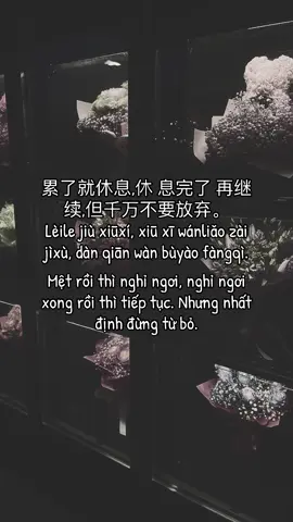 Nhất định đừng từ bỏ🫵💪 #sachtiengtrunghay📚#xuhuongtiktok #fyp 