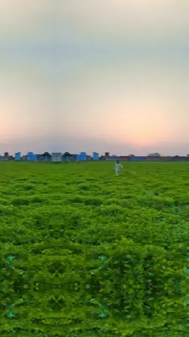 #foryoupage❤️❤️ #fyp #viralditiktok #viral #unfreezemyacount 