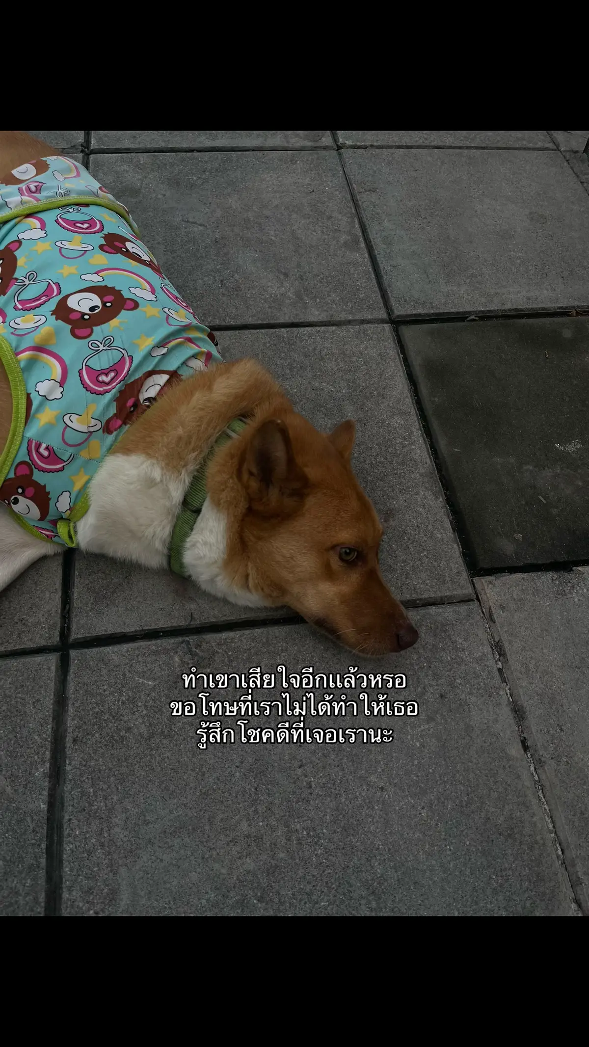 เราก็ผิดหวังในตัวเองเหมือนกัน#เธรดเศร้า 