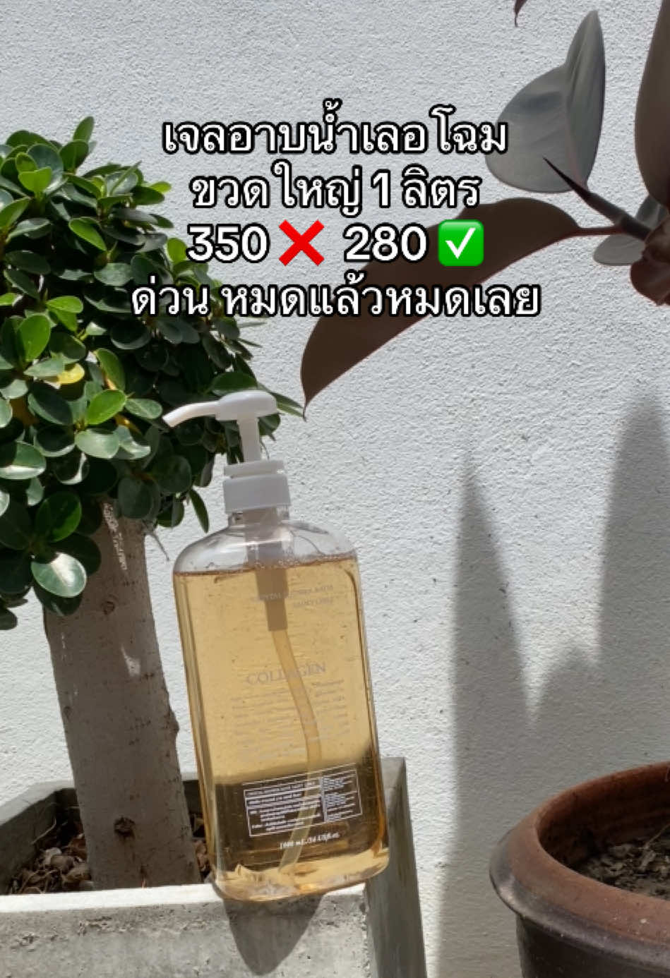 ขวดใหญ่ 1 ลิตร 280! กรี๊ดดดด กดด่วนนนน #เจลอาบน้ําตัวหอม #เจลอาบน้ํากลิ่นน้ําหอม #เจลอาบน้ําโครตหอม #เจลอาบน้ำเลอโฉม #รีวิวบิวตี้ #รีวิวของดีบอกต่อ 