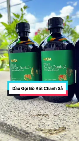 Combo 5 chai dầu gội Bồ kết chanh sả làm sạch da đầu,cải thiện tình trạng rụng tóc..chỉ 179k miễn ship#phamngocanh985 #daugoi #daugoiboket #daugoiboketchanhsa 