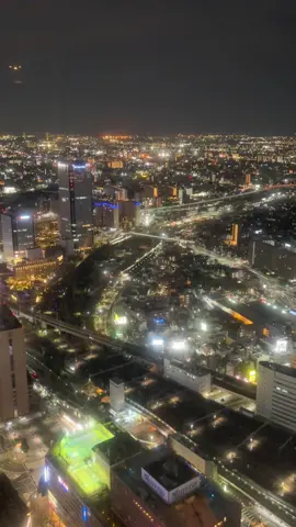 髭ダン旅行記🚗 髭ダンが愛知県のスカイプロムナードに行って来ました🌆 天気が悪かったけど凄い綺麗な夜景ですね✨ 最後にラッキーな出来事が❤️ #スカイプロムナード #名古屋 #Golden #huntrix  #kpopdemonhunters 