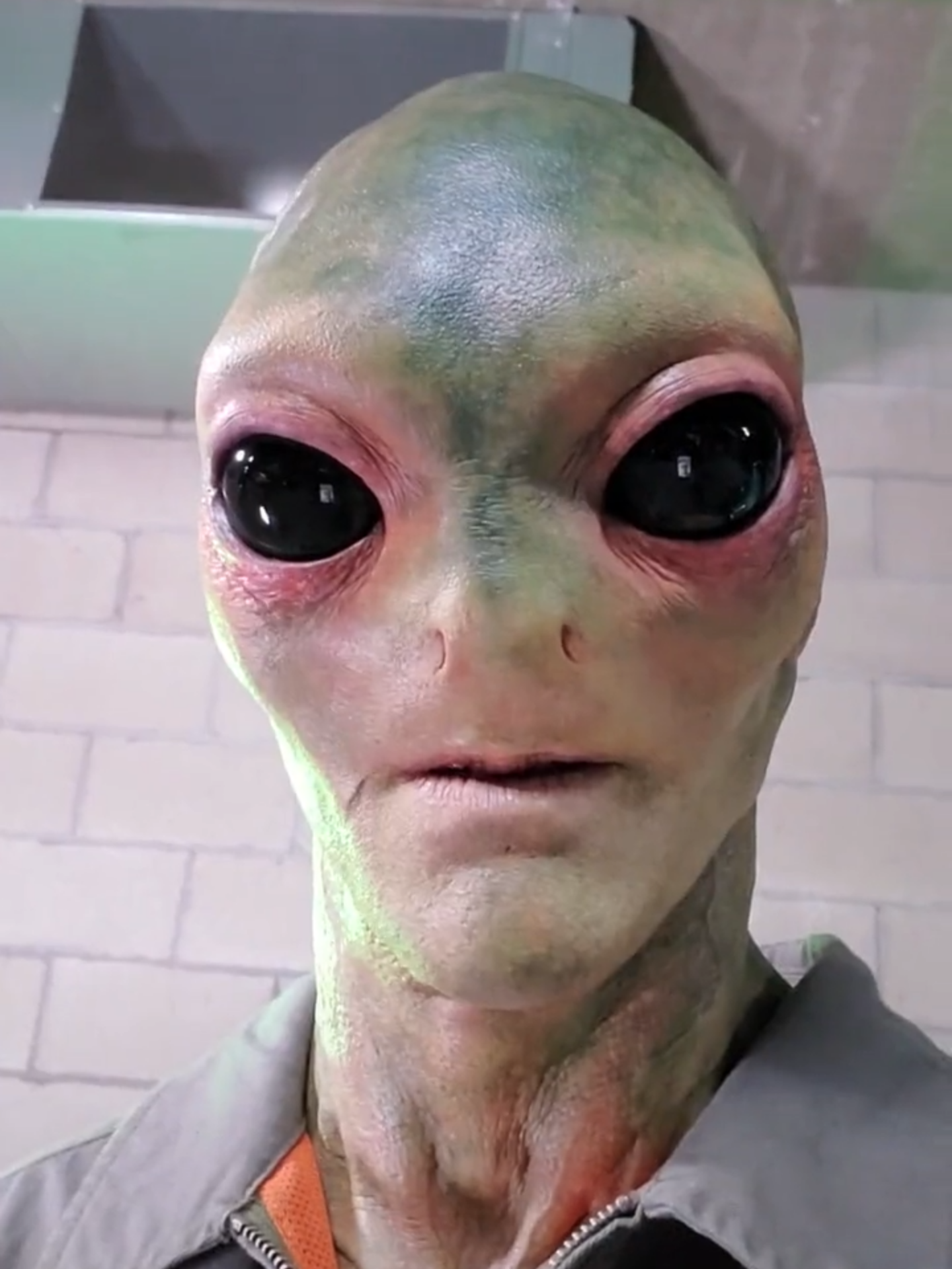 Alien_with_Denture  These make me look more human, right?! #wholesomeplottwist #alien #aliens #ufo #area51 #cosplay #uap #fyp #galacticfederation #alienspecies #tallwhites #pleiadians #annunaki #venusian #parnornmal #scary #shapeshifter #reptilians #tall_whites, #grays #insectoids #humanoid_hybrid music by Crystal Dolphin - Engelwood