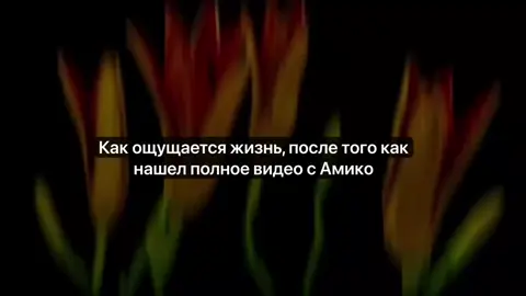 Амико полное видео, лицо амико Сури #Сури #амико #Кавказ #Дагестан 