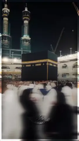 #foryoupage #fyp #shia #ahlulbayt 