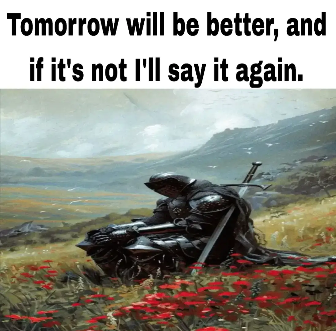 #hopecore #relatable #fyp #knight 