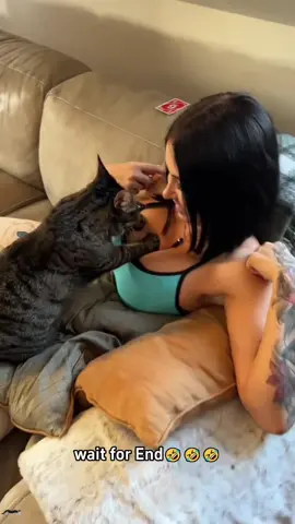 She understand 🤣🤣#cat #funnycat #catsoftiktok #funnyvideo #funnytiktok 