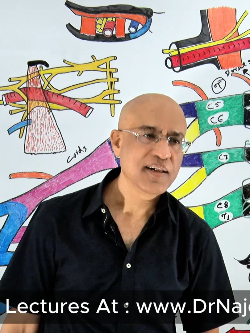 Scapular Winging #drnajeeb #drnajeeblectures