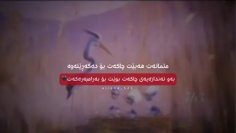 بەڵێ🖤#alone_525 #alonee_525 