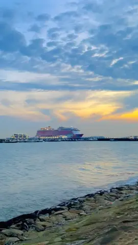 #ফেনীয়ান✌❤ #singapore🇸🇬🇸🇬 #tiktokoffical #viraltiktok #foruyou 
