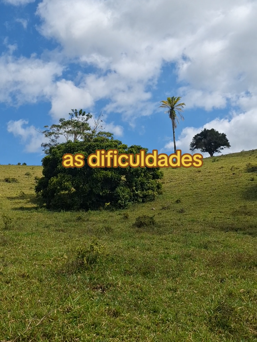 Quando a gente ama alguém  #reflexaododia #motivacao 