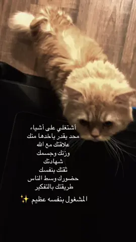 المشغول بنفسه عظيم  #tiktok #tik #girls #foryou #fyp #ستوريات 