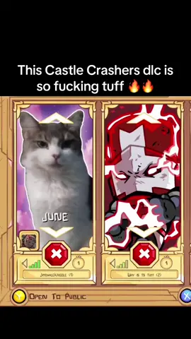 Ft @Quindivious Rumbletumble #castlecrashers #castlecrashersdlc #mods 