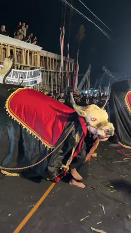 asoyyy✨ #satrioputroarjuno #malang24jam #xybca #mberot #4u @JAVANESE CULTURE @𝐒𝐭𝐨𝐫𝐲 𝐁𝐚𝐧𝐭𝐞𝐧𝐠𝐚𝐧 