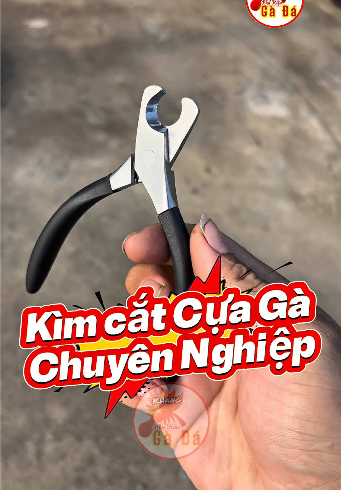 Kìm cắt cựa gà chuyên nghiệp, kìm cắt cựa gà cao cấp thép trắng không rỉ #khangphukiengada #phukienga #phukiengachoi #kimcatcuaga #kimcat 