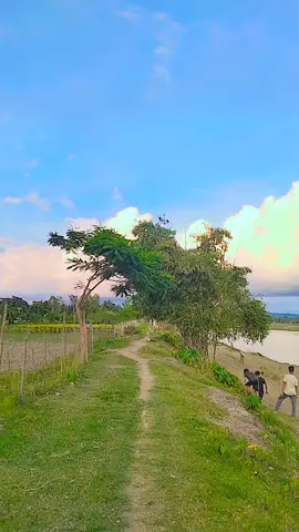 #foryou #vairal #vairalvedio❤️❤️ #bdtiktokofficial🇧🇩 #tiktok?bangladeshforyou🇧🇩 