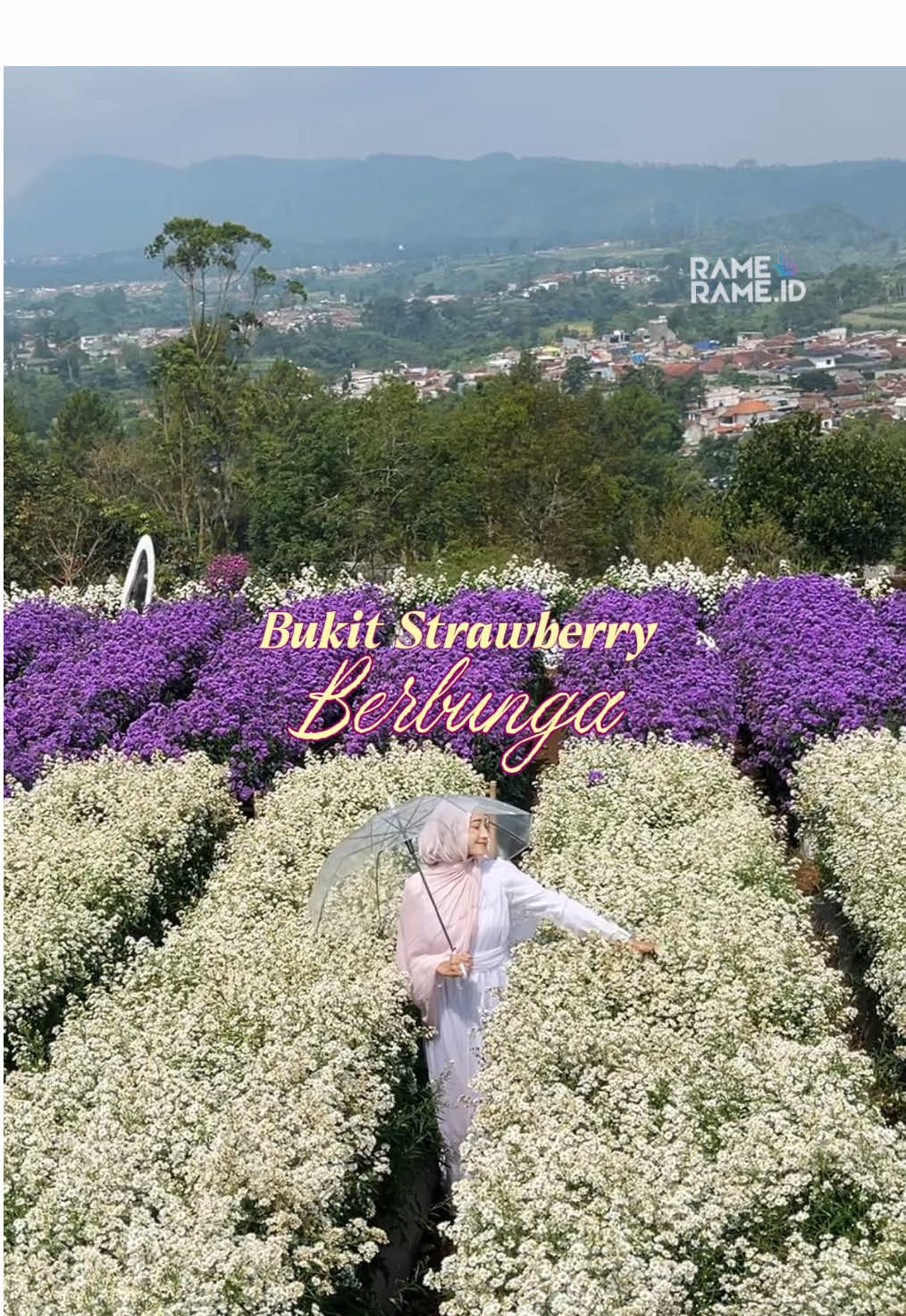 Taman Bunga dengan fasilitas terlengkap! Cuma 35rb, bisa explore bunga-bunga & spot foto lucu 🧚🏻‍♀️✨ Gratis Fresh Flowers dan Pinjam Properti Ada berbagai macam properti, mulai dari kacamata, topi, tripod, payung aesthetic, dan lain-lain✨ 📍Bukit Strawberry Lembang Jl. Raya Tangkuban Perahu No.109, Kab.Bandung Barat, Jawa Barat #wisatabandung #placetogobandung #lembang #touristspot     #creatorsearchinsights 