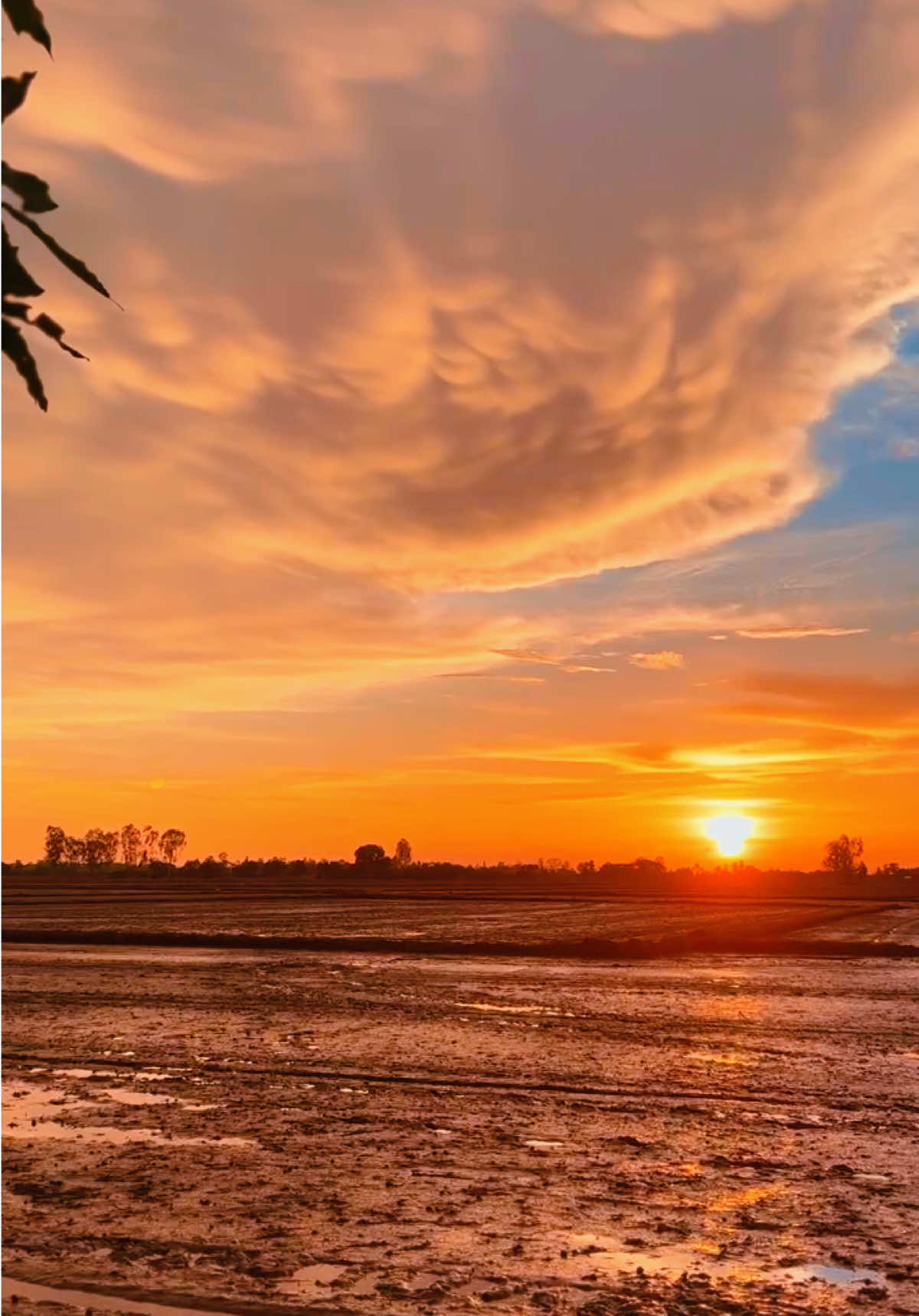 “Nếu tình yêu có tìm tới mình một lần nữa, mình mong đó là vì họ toàn tâm toàn ý thật sự yêu thương mình, chứ không phải vì cô đơn hay tìm người thay thế, mình cũng chỉ mong là duy nhất trong mắt 1 người.” #toiyeuvietnam #tamtrangcuatoi #hoanghon #mientayquetoi 