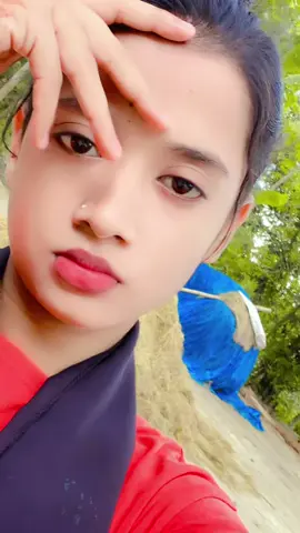 #সবাই_একটু_সাপোর্ট_করবেন_প্লিজ #হাসিররাজকন্যা😊 #supportplzzzz🙏☺ #viralpage #viewsproblem😭 