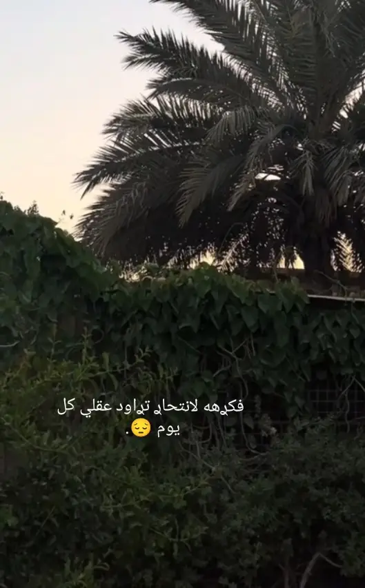 #تفاعلكم✨🍂_حبايب🌸🍃  #ࢪدلي اشوفككككككككككككك #انا الَمتعوب منـَك حَيل شحَجيَلك؟