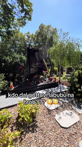 #labubu #karelgott #gott #fyp 