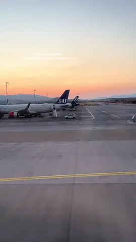 loved SAS  #flight #newairline #SAS #fyp #sunset