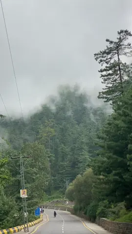 Murree Right now #murreetimes #murree #foryoupage❤️❤️ #fyp #beauty #murreetour #murreeweather #murree_hills #hills #foryou #murreeweather #beauty #murree_hills #pakistan 