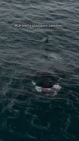 #fyp #рекомендации #қазақ #қазақстан🇰🇿 #🐺🦅 